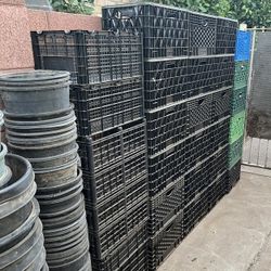 So Many Different Milk Crates Available For Sale