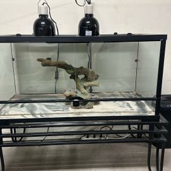 40 Gallon Terrarium and Table Set-Up