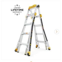 Gorilla Ladders