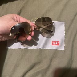 Ray Ban  Aviator Sunglasses 