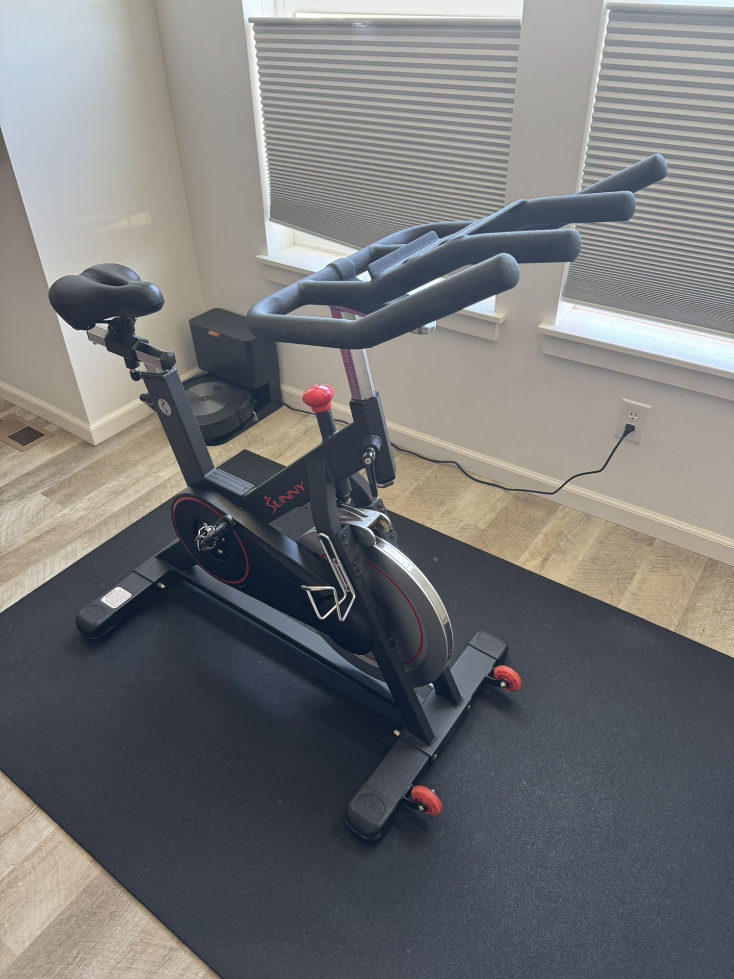 Sunny Spin Bike