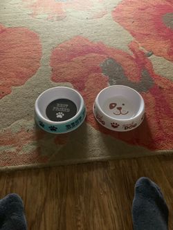 Dogs bowls cute