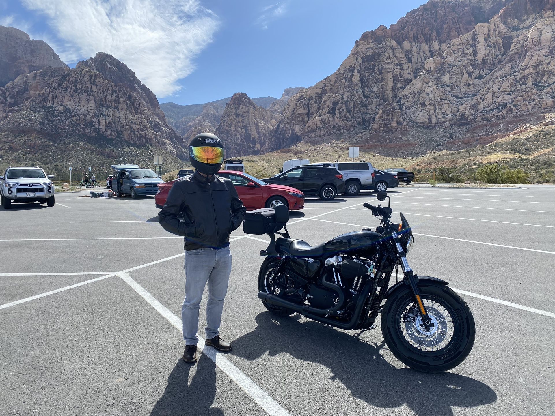 Harley-Davidson 2012 XL 1200 / MRS / 7.8k Mileage