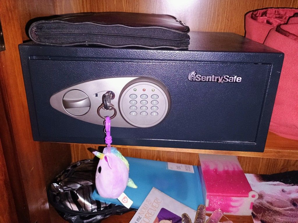 Sentry Safe
