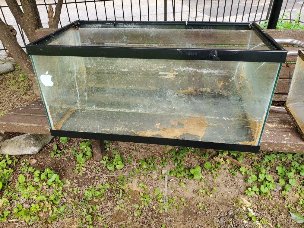 40 Gallon Used Aquarium