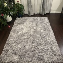 Beautiful Area Rug