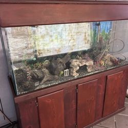 180 Gallon Fish tank