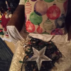 Christmas Star Christmas Lights