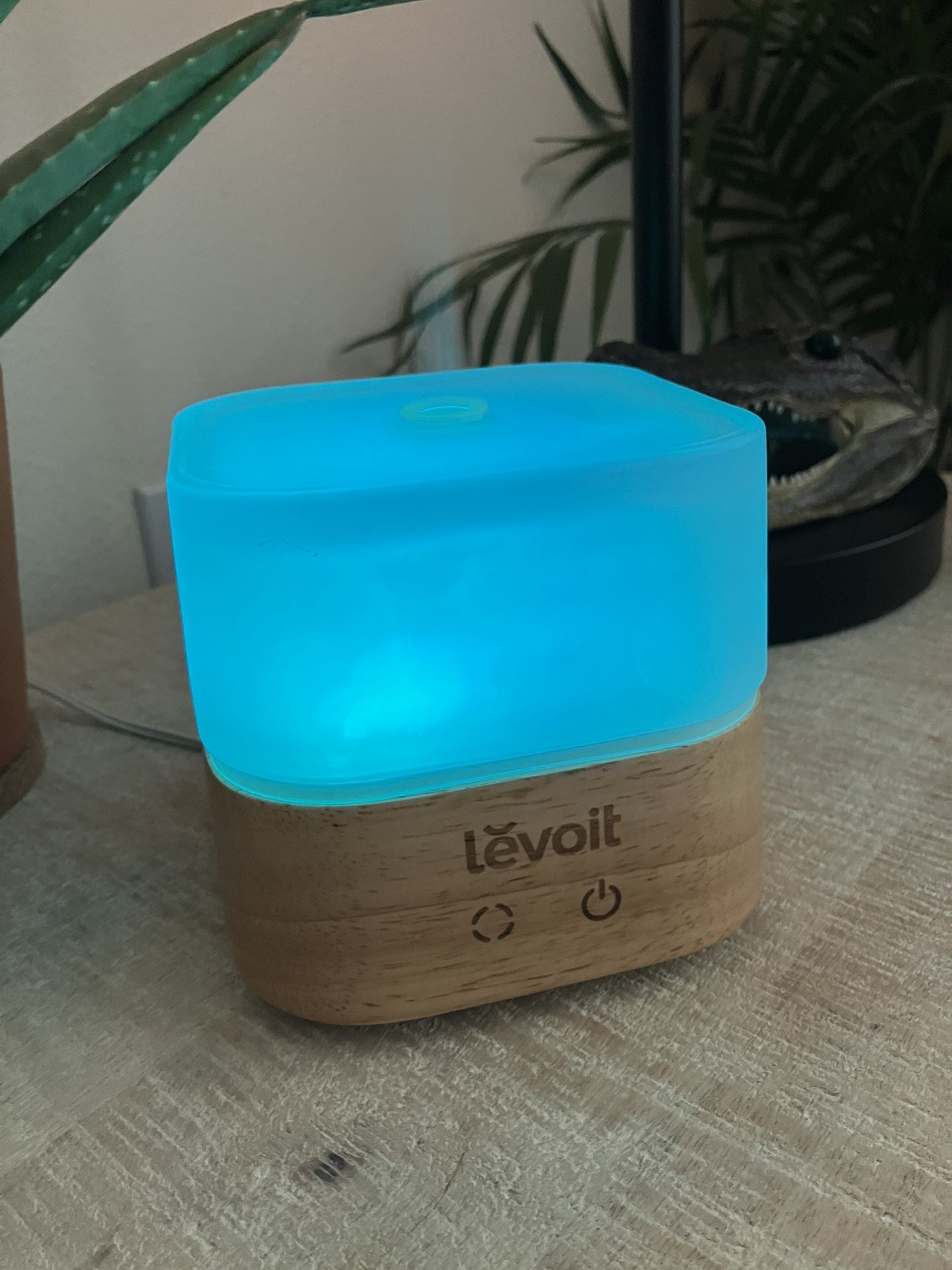 Essential Oil Humidifier