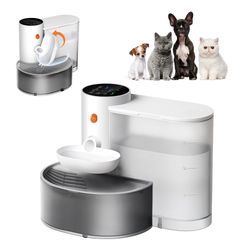 Pet Water Fountain