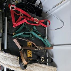 Read Description For Price