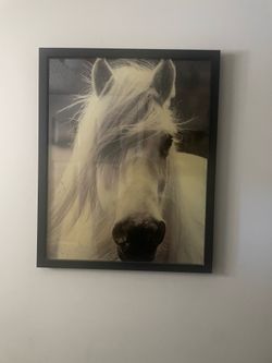 framed art