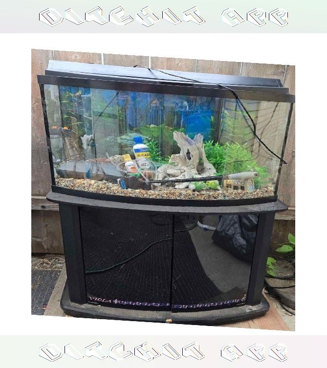 Fully-Loaded Aquarium Set - Dive into Underwater Beauty rise wind