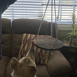 Hanging Planter . Read Description 