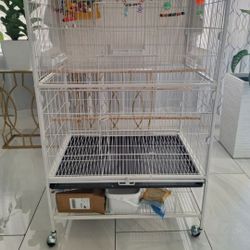 New Bird Cage 