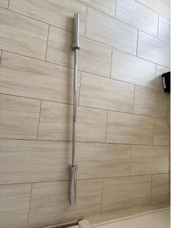 20lb curl barbell