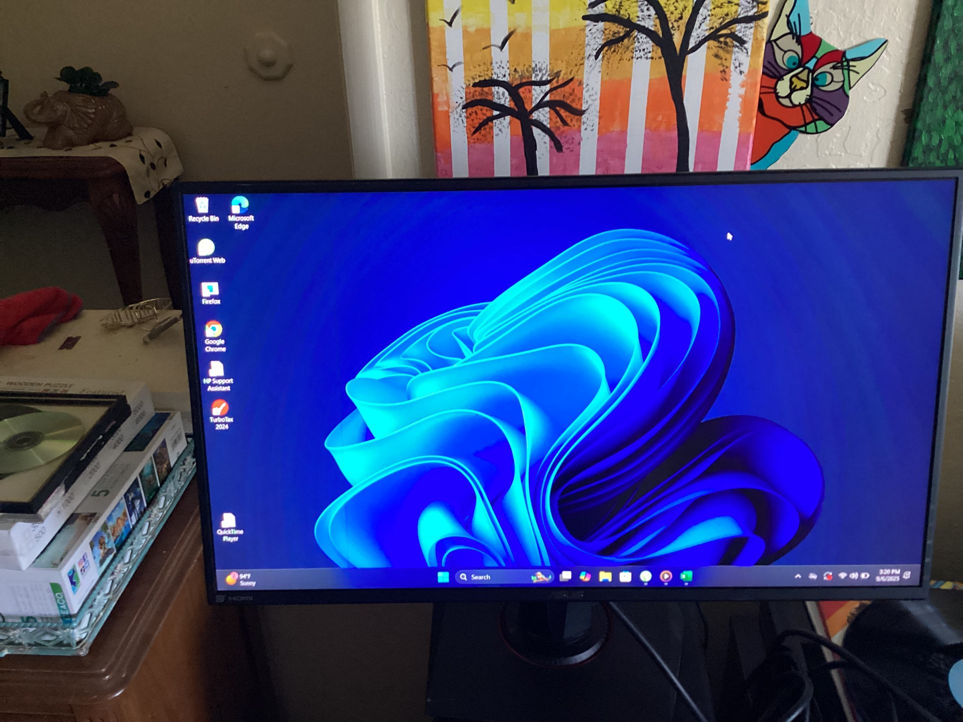 Asus Computer Monitor