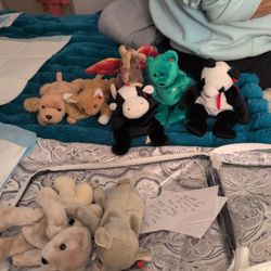 Ty  Beanie Babies lot