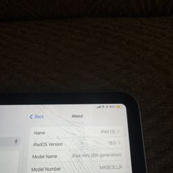 iPad mini 6th Gen - cellular data