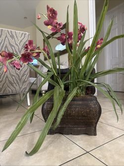 Flower And plant In Chest Decoration