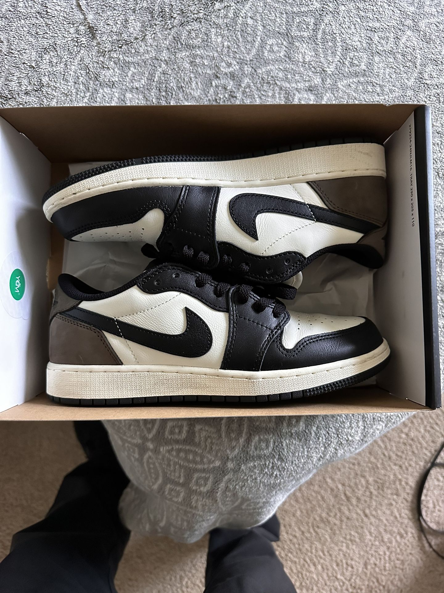 Jordan 1 Lows