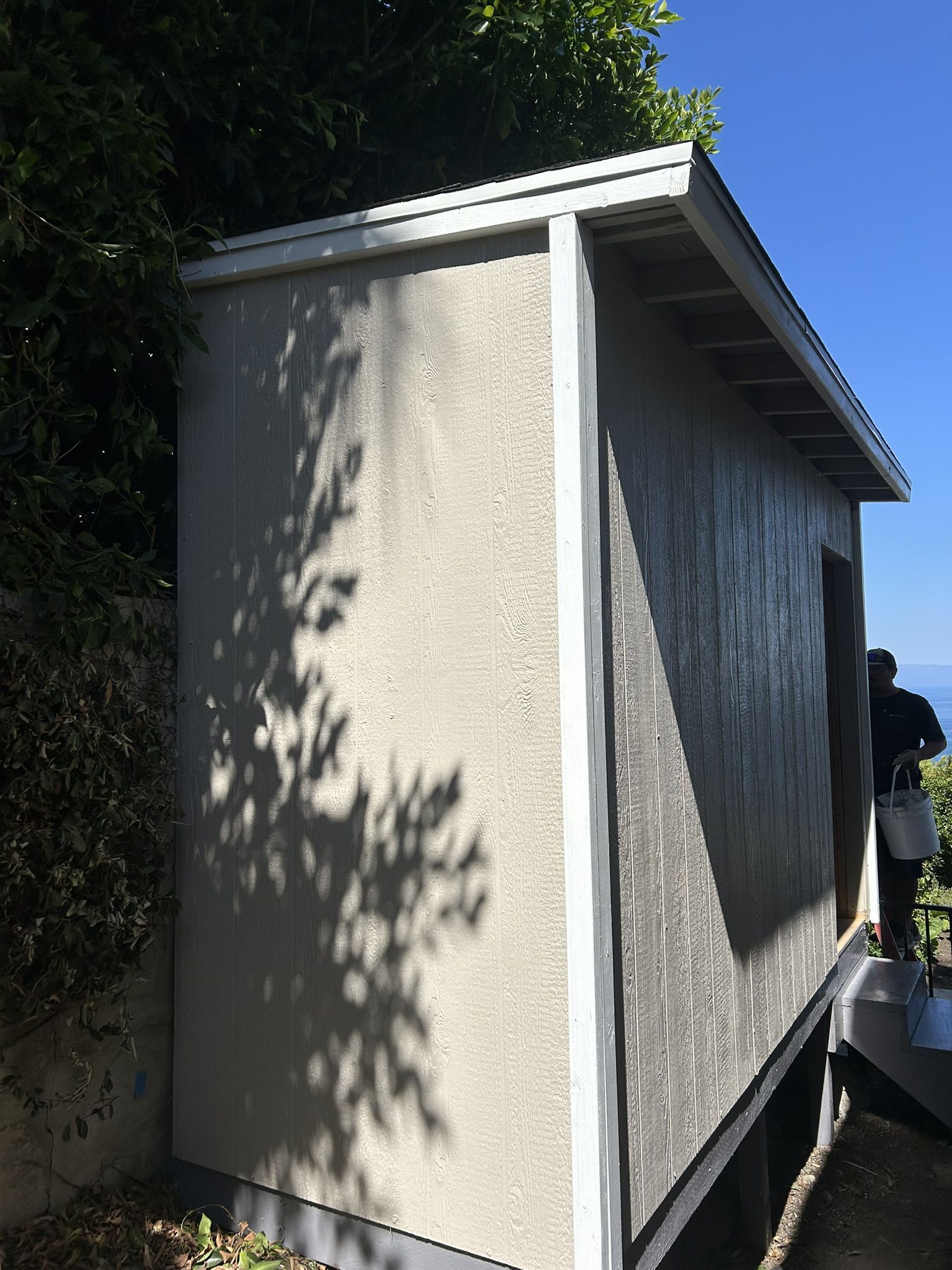 4x12 Shed