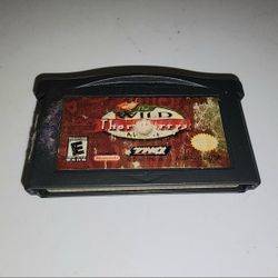 Vintage Nintendo Gameboy Advance Wild Thornberrys video game cartridge *untested*