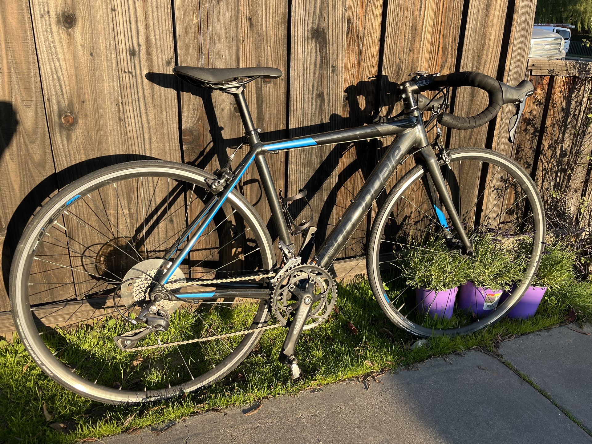 Cannondale Optimo Road Bike Size 48