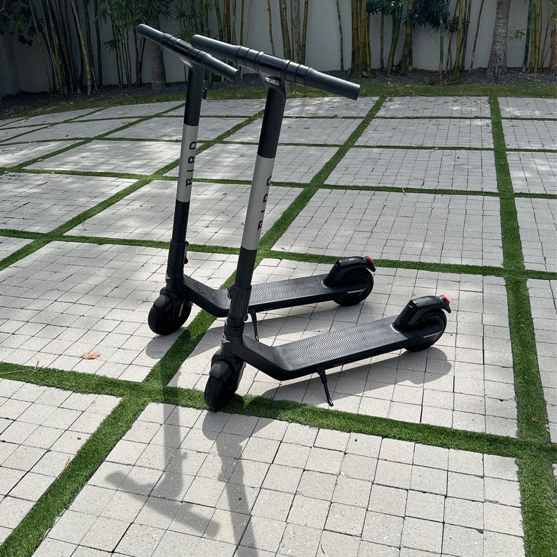 Electric Scooter Bird Air