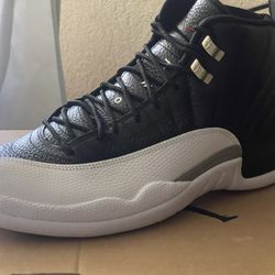 Jordan 12 