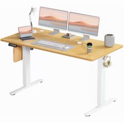 Brand New Electric Standing Desk – 55” Adjustable Sit Stand Desk
