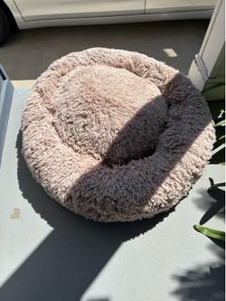 Dog bed free
