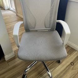 Computer/ Desk Chair