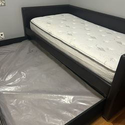 TRUNDLE Bed - Rich Chocolate 2 Beds One Price OR  Use For Extra Storage