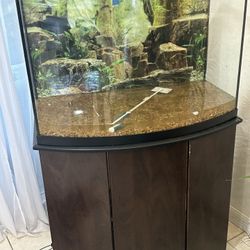 Pescera! SÚPER DEAL
