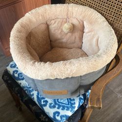 Kitten Bed 