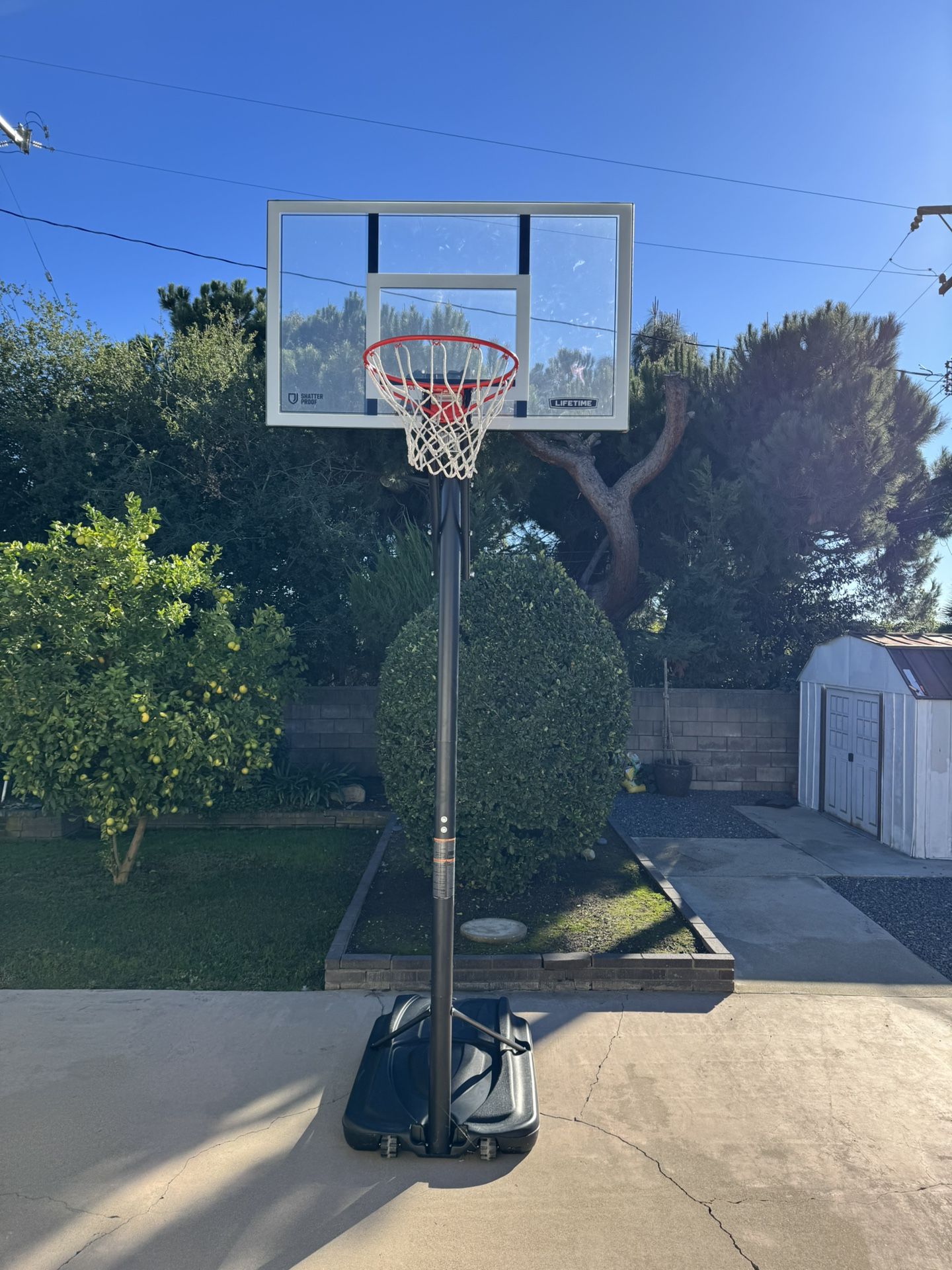 Lifetime Basketball Hoop 54 Inch Backboard