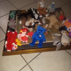 Beenie Babies 