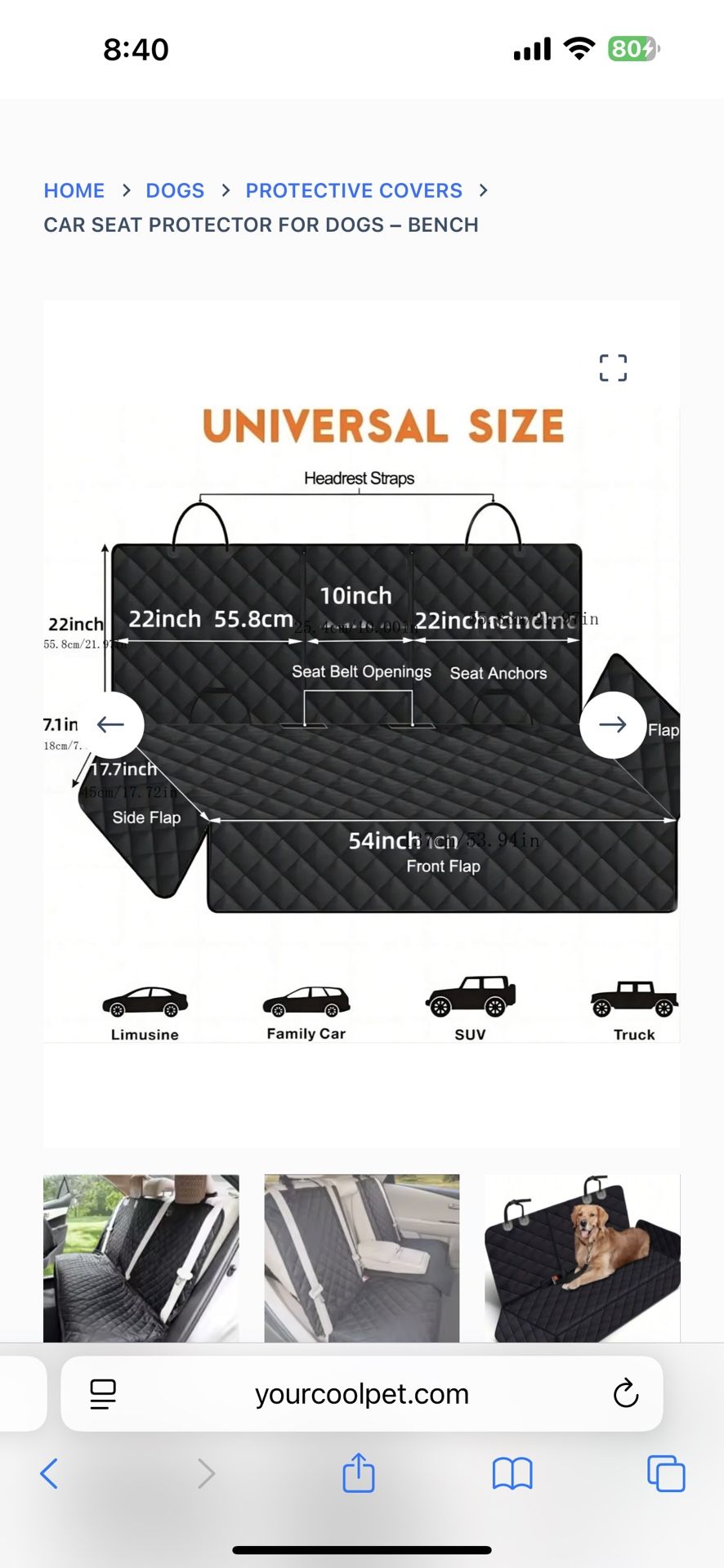 Car seat protection for dog