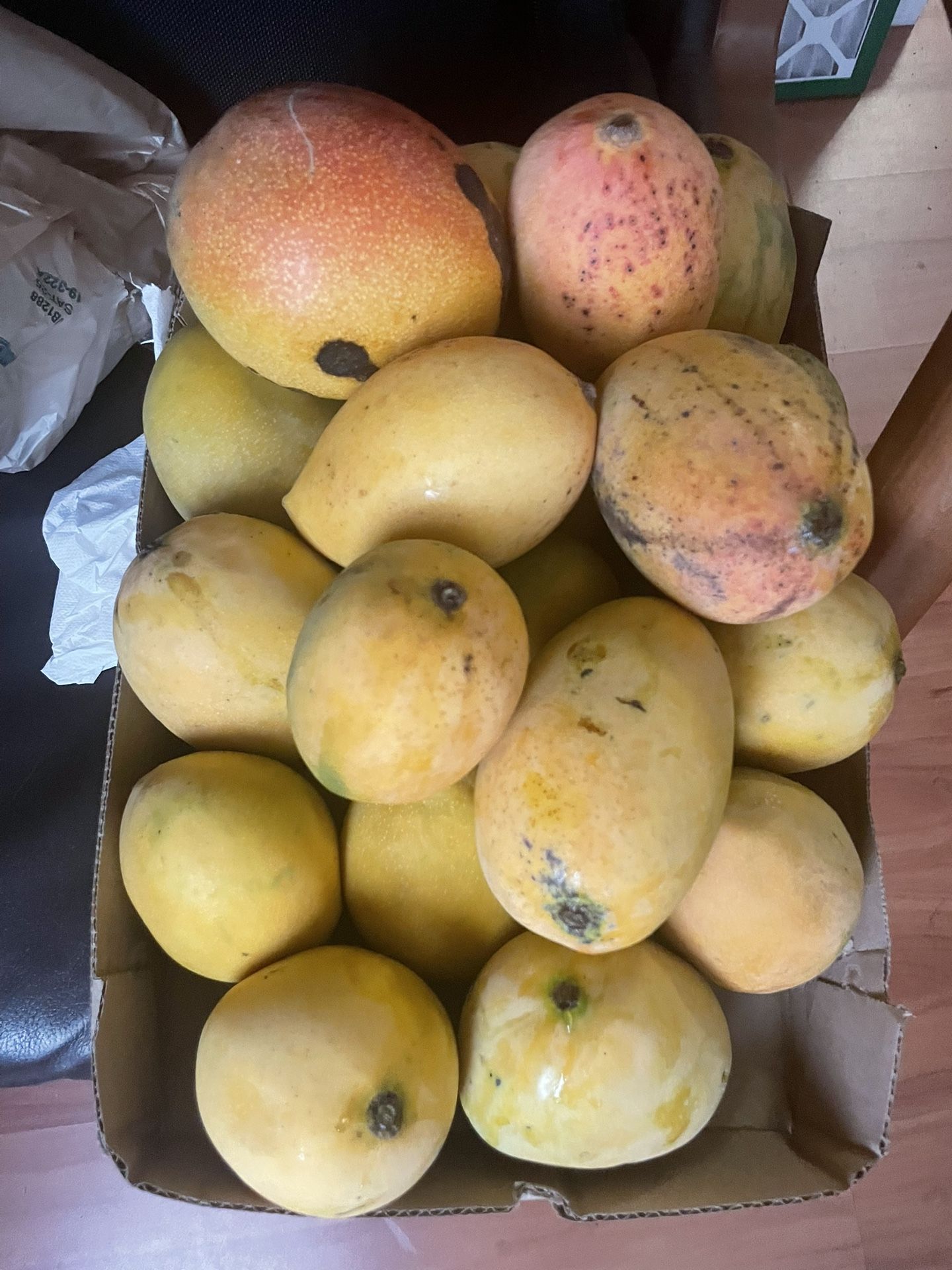 Carrie Mangoes