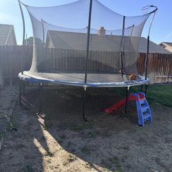 Free Trampoline