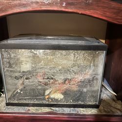 Fish Tank With Stuff Inside