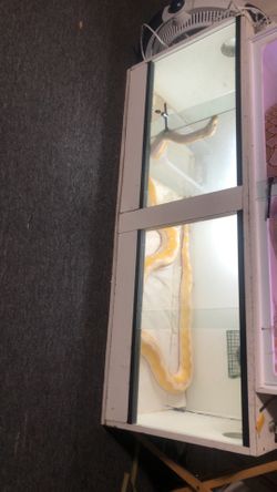 Reptile snake lizard gecko cage tank enclosure