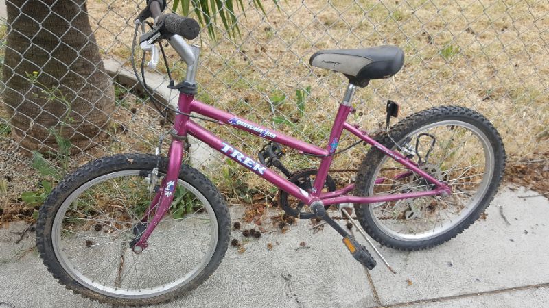 Trek girls mountain bike.