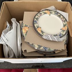 Mikasa CAC29 Garden Harvest 16-Piece Plate Set + Salt Pepper (will separate)