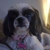 Debra