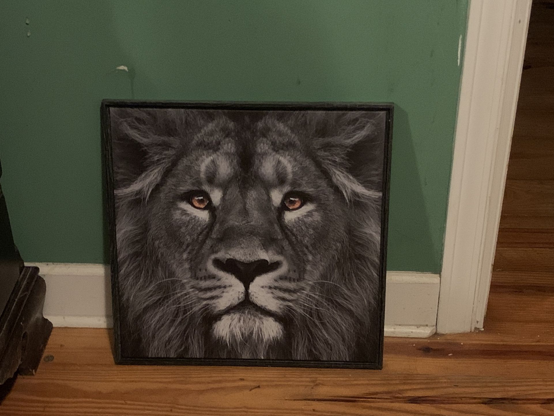 Lion Picture Frame