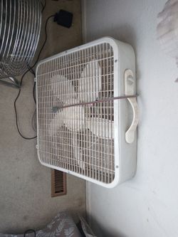 Box fan