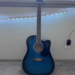 Acoustic / Electric Guitar 