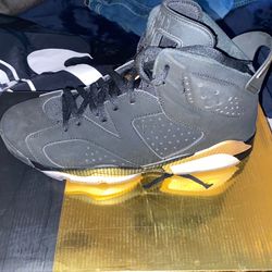 Jordan  6 retros DMP